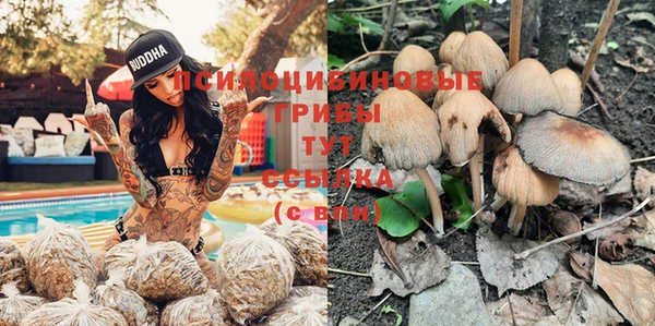 круглые Богородицк
