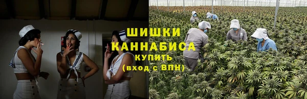 стафф Богородск
